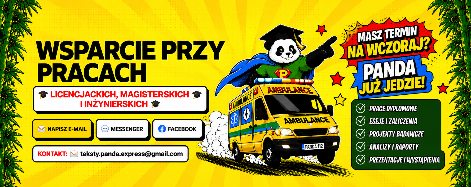 Panda Expert – pomoc przy pracy licencjackiej i wsparcie akademickie